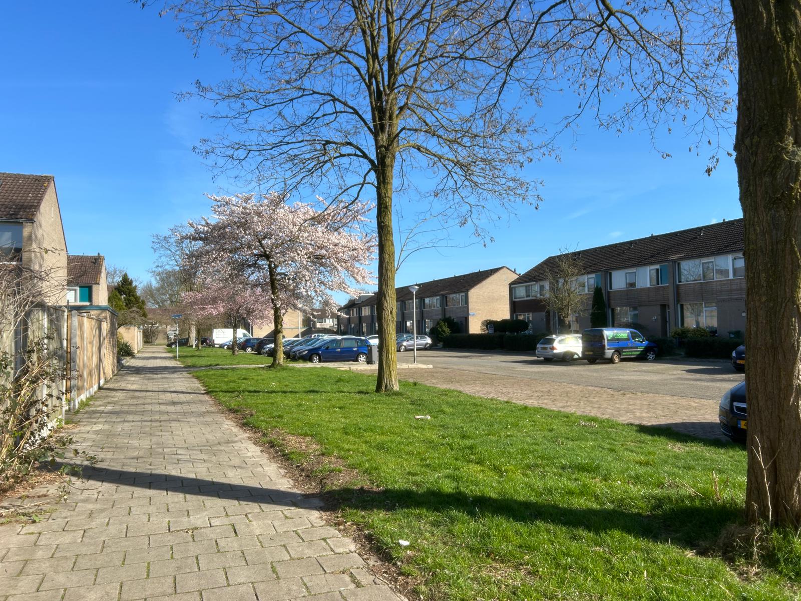 Foto 3 van Nederhorst 15