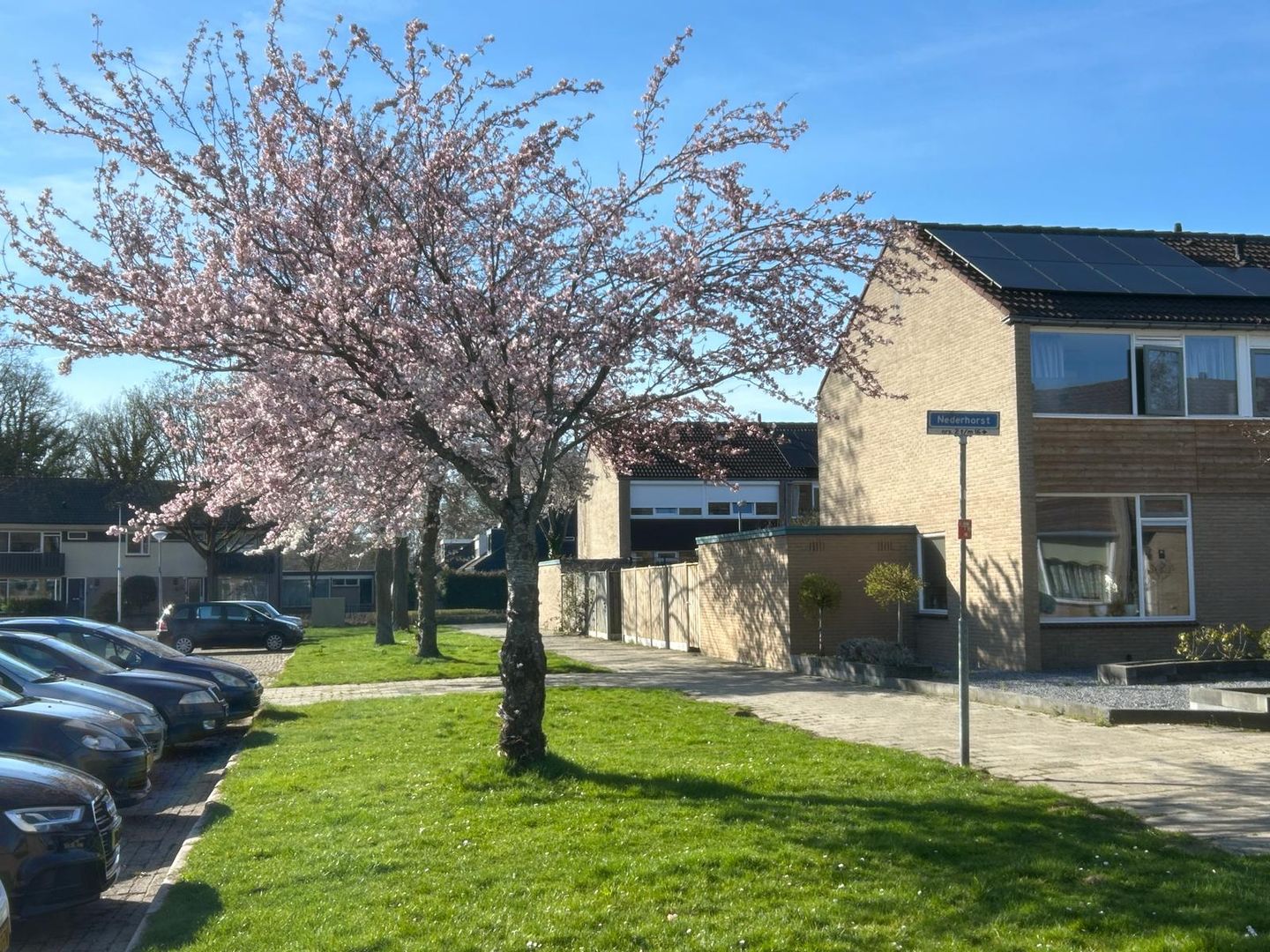 Foto 5 van Nederhorst 15