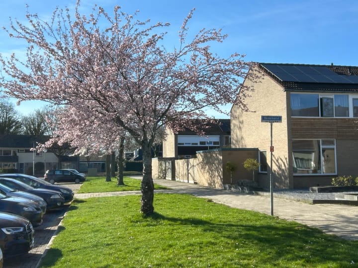 Photo 5 of Nederhorst 15