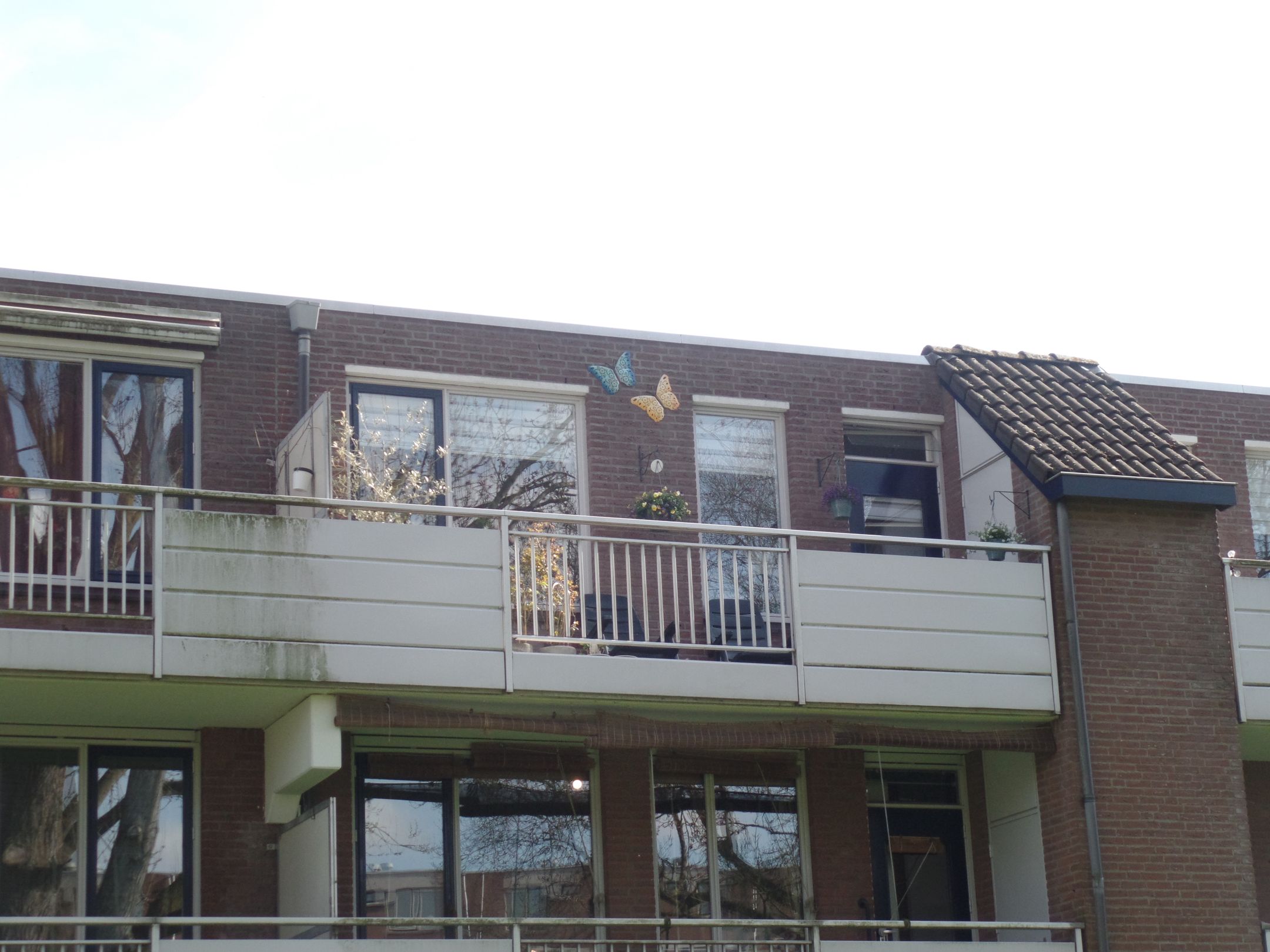 Foto 30 van Pearl Buck-erf 176