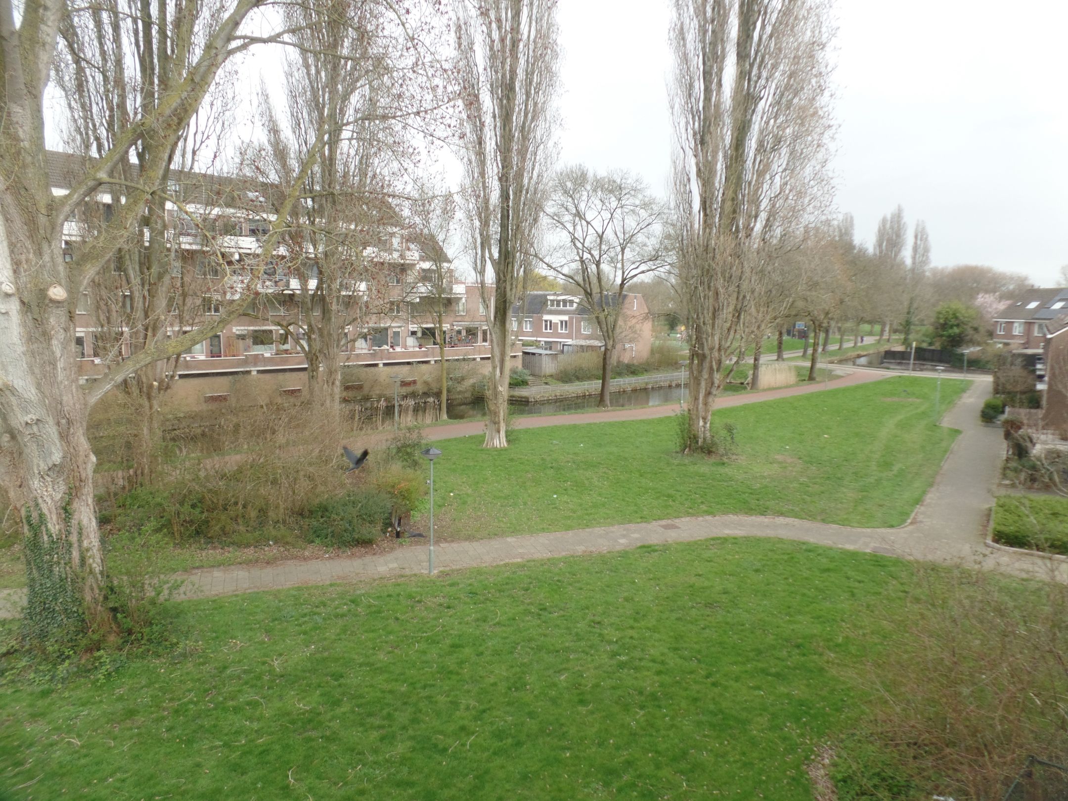 Foto 24 van Pearl Buck-erf 176