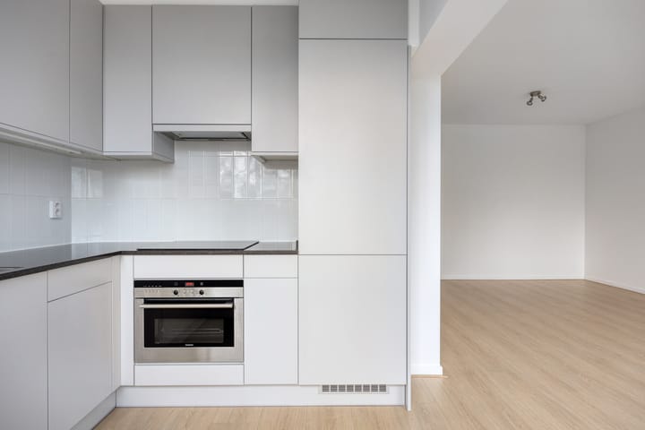 Foto 3 van Julianaplantsoen 252