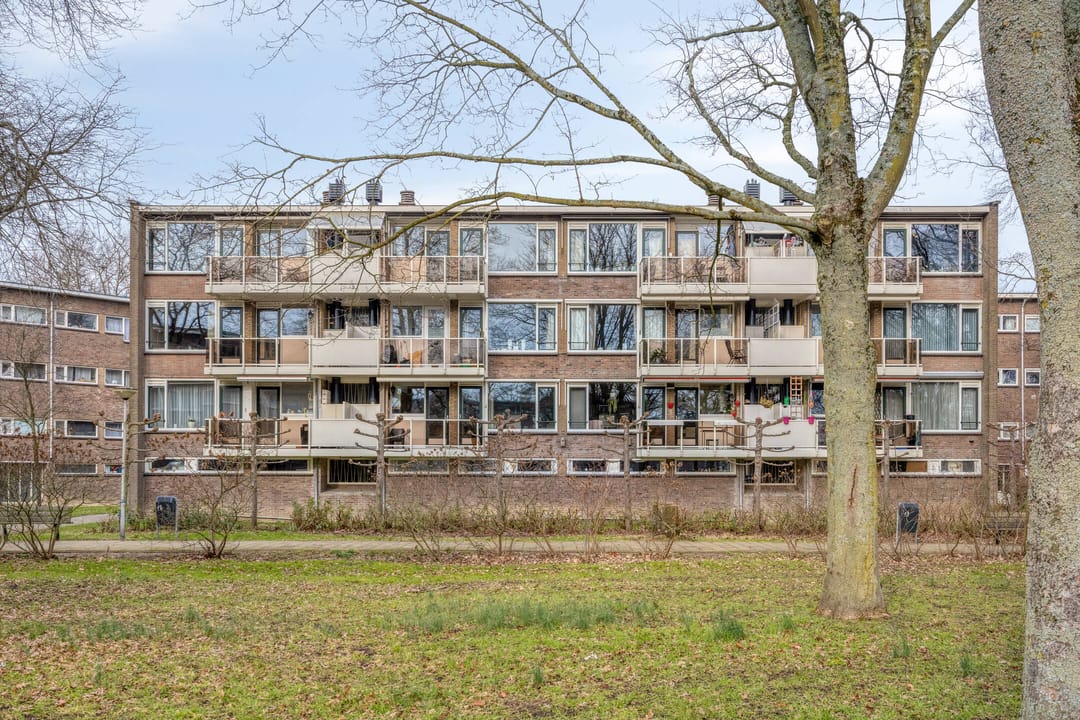 Foto 8 van Julianaplantsoen 252