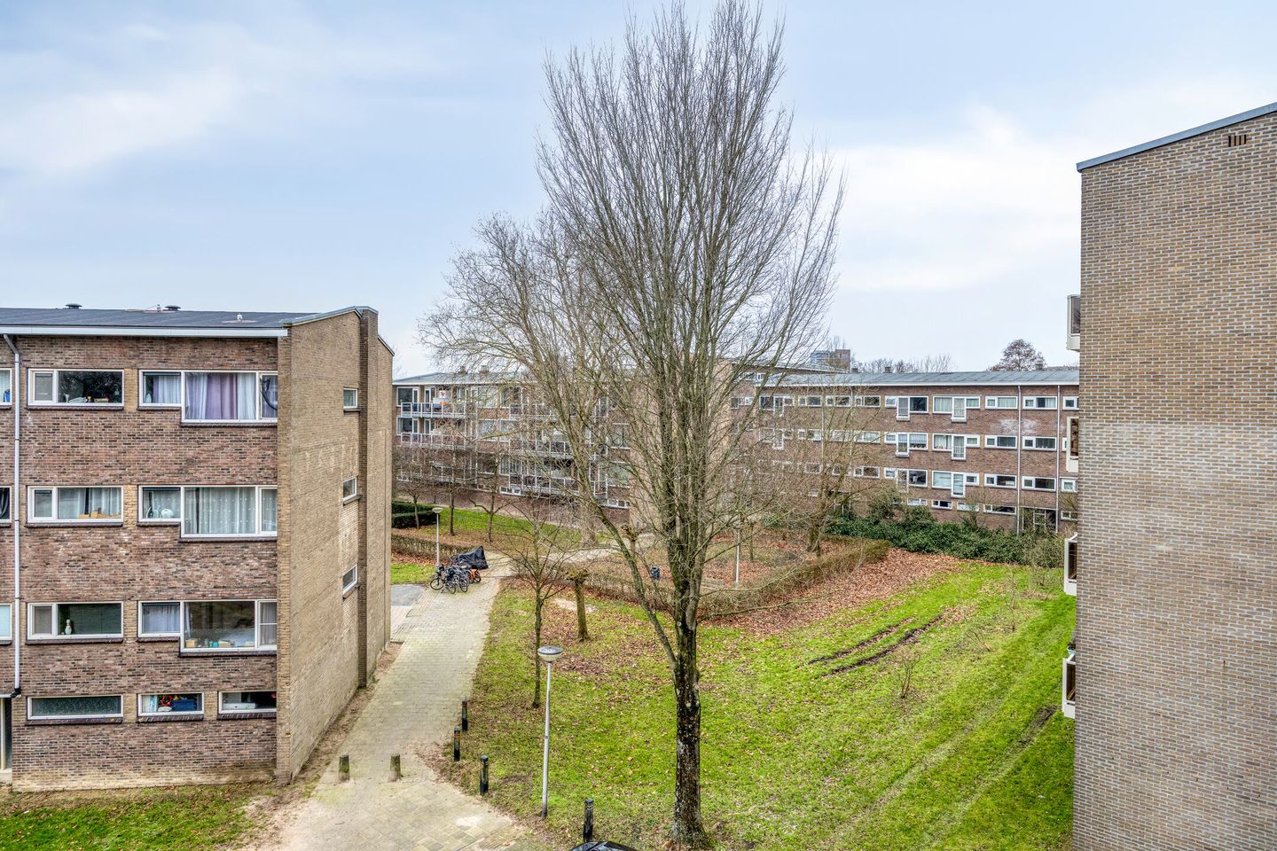 Foto 35 van Julianaplantsoen 252