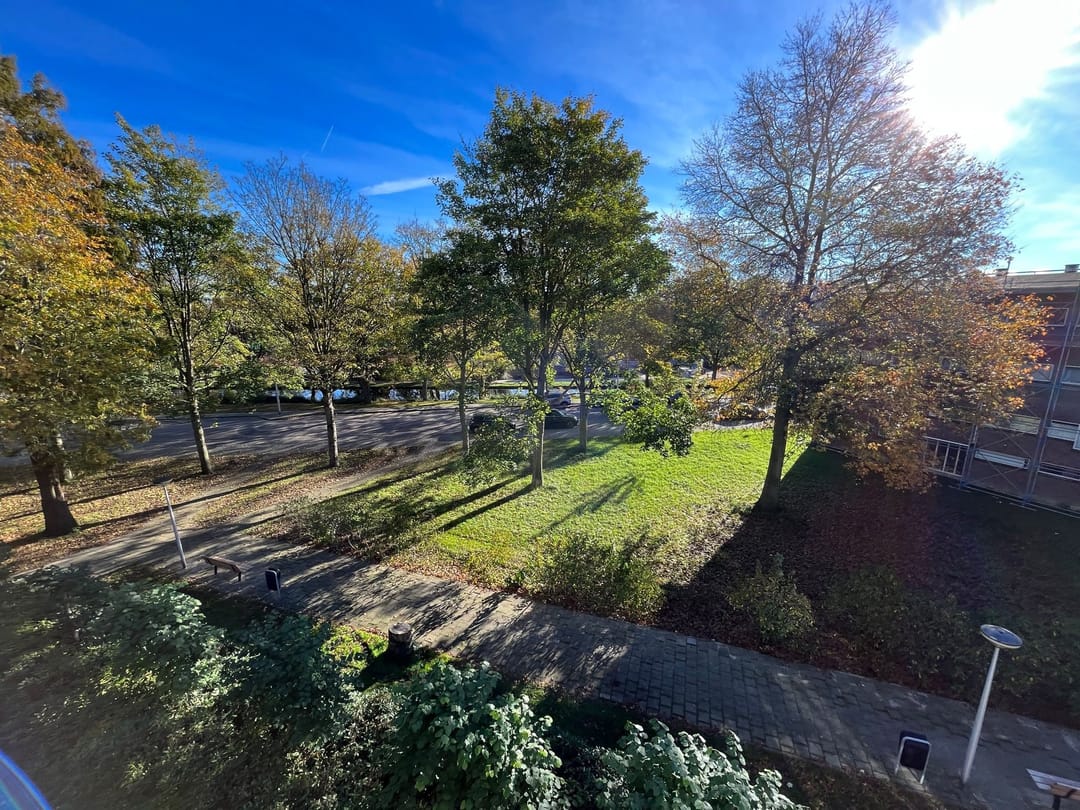 Foto 23 van Julianaplantsoen 252