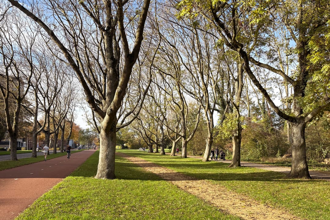 Photo 22 of IJsclubstraat 23-A03