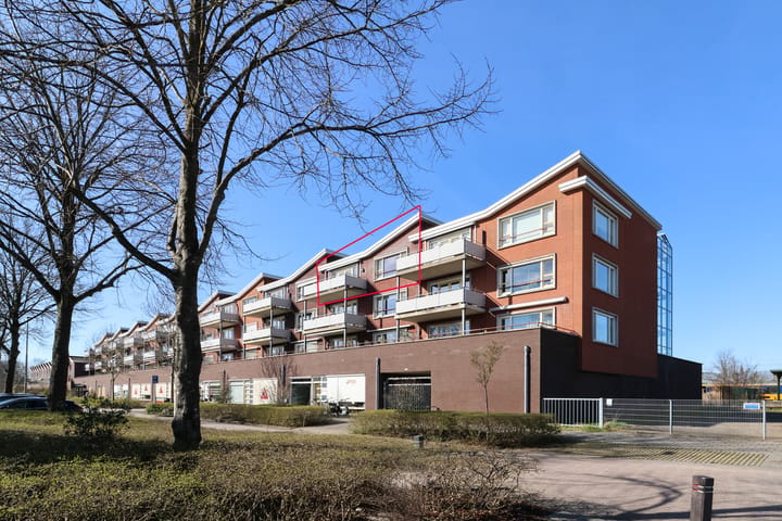 Wijnhornsterstraat 186 main image