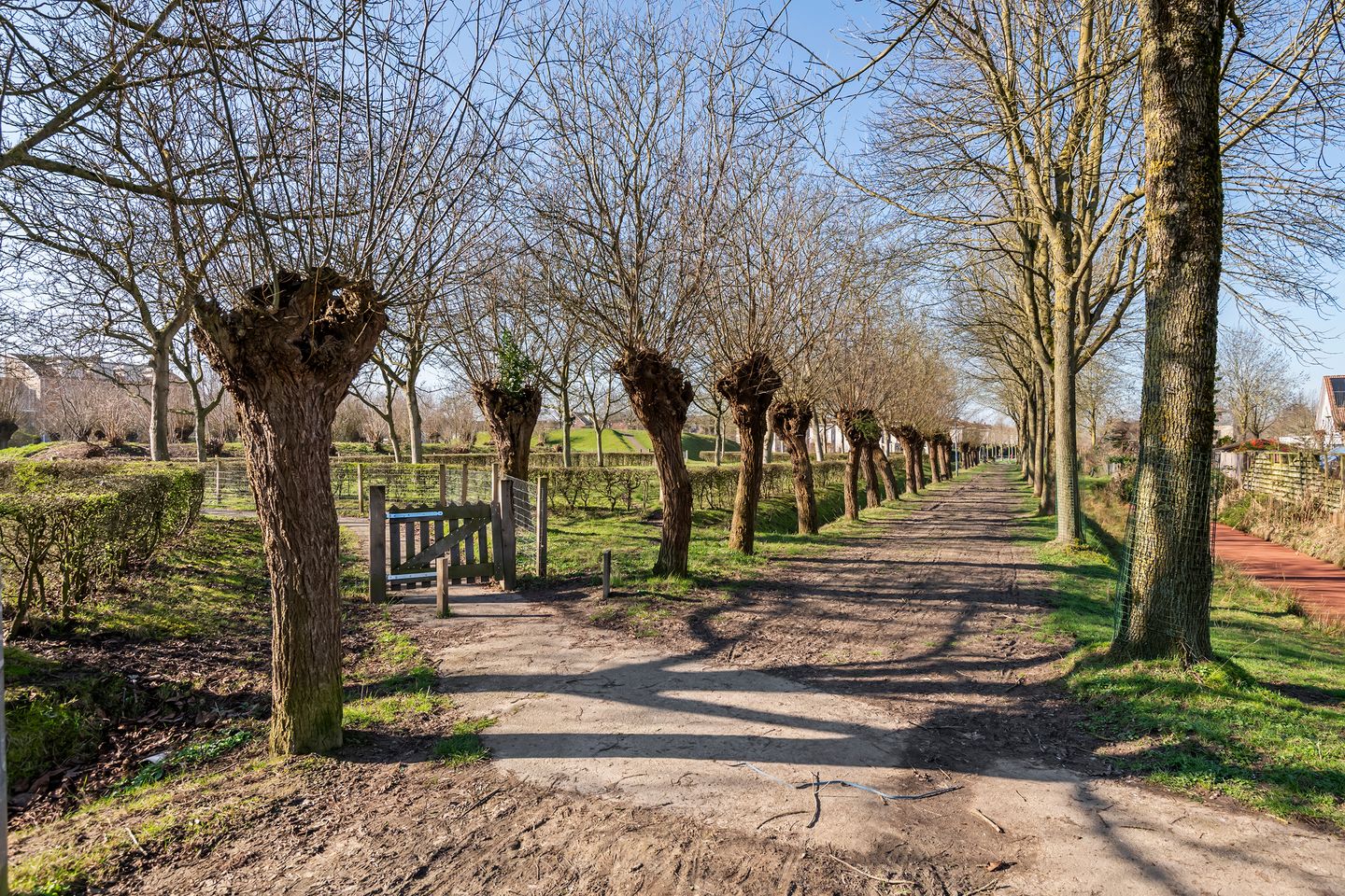 Photo 59 of Maasweg 20