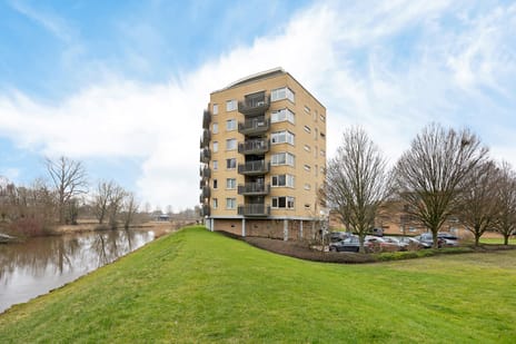 Abel Tasmanstraat thumbnail