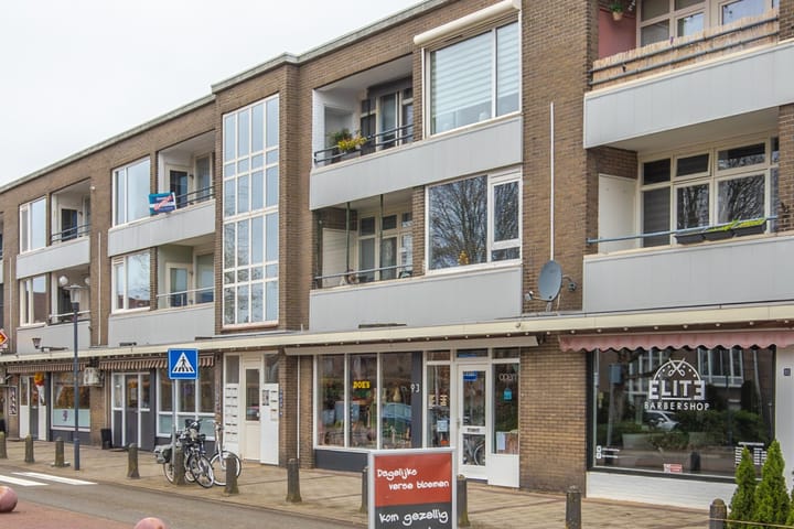 Kraakselaan 81, Doesburg