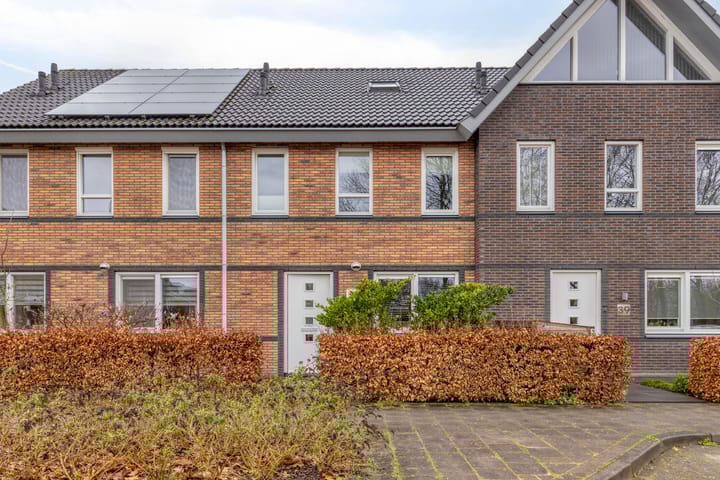 Photo 4 of Bosuil 37