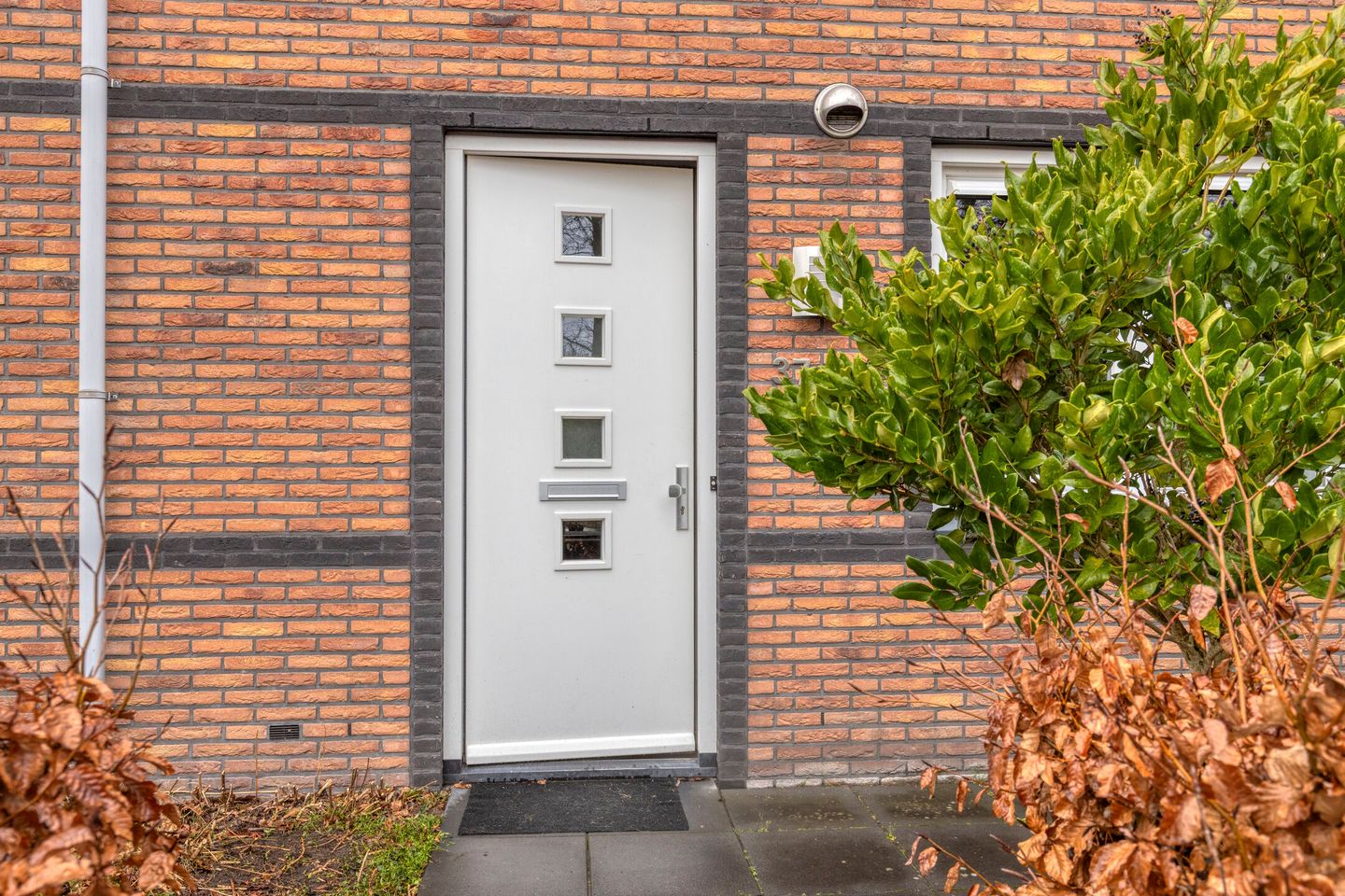 Photo 5 of Bosuil 37