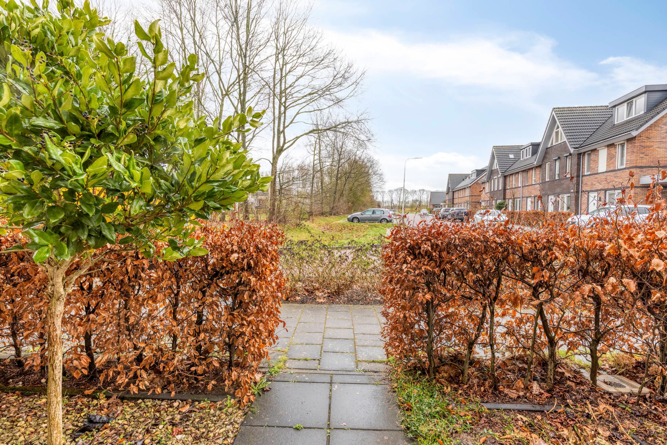 Photo 6 of Bosuil 37