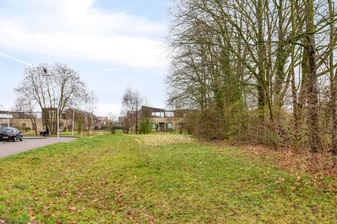 Photo 38 of Bosuil 37