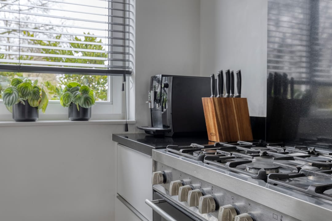 Photo 16 of Bosuil 37