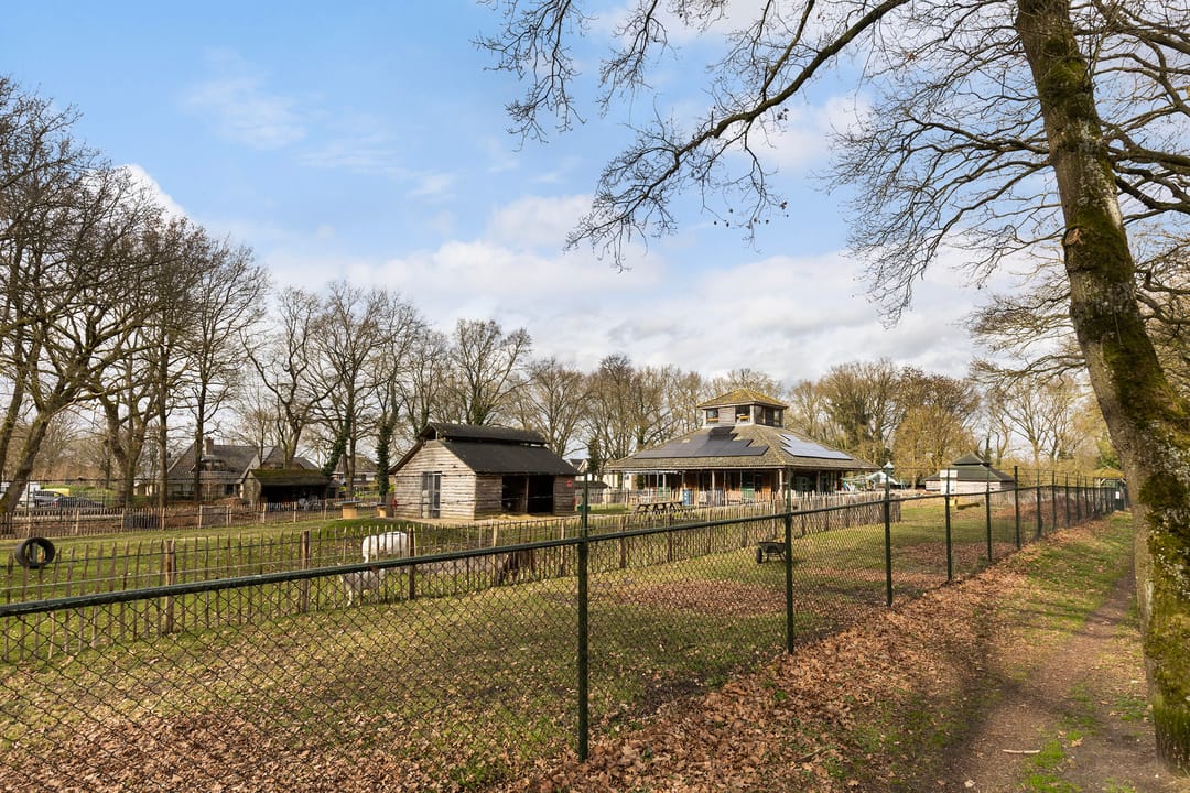 Foto 46 van Händelstraat 17