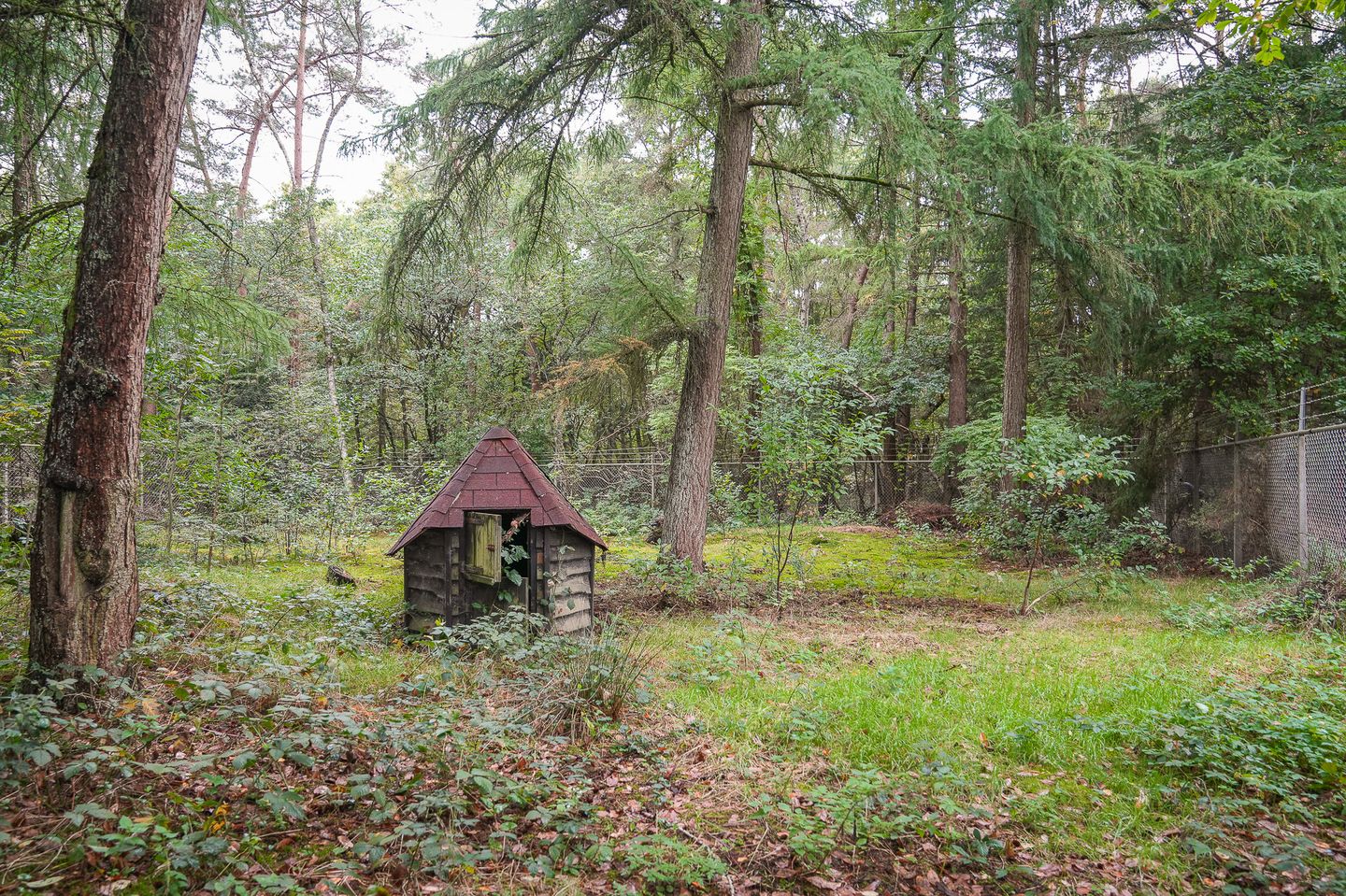 Photo 25 of Griftdijk 17