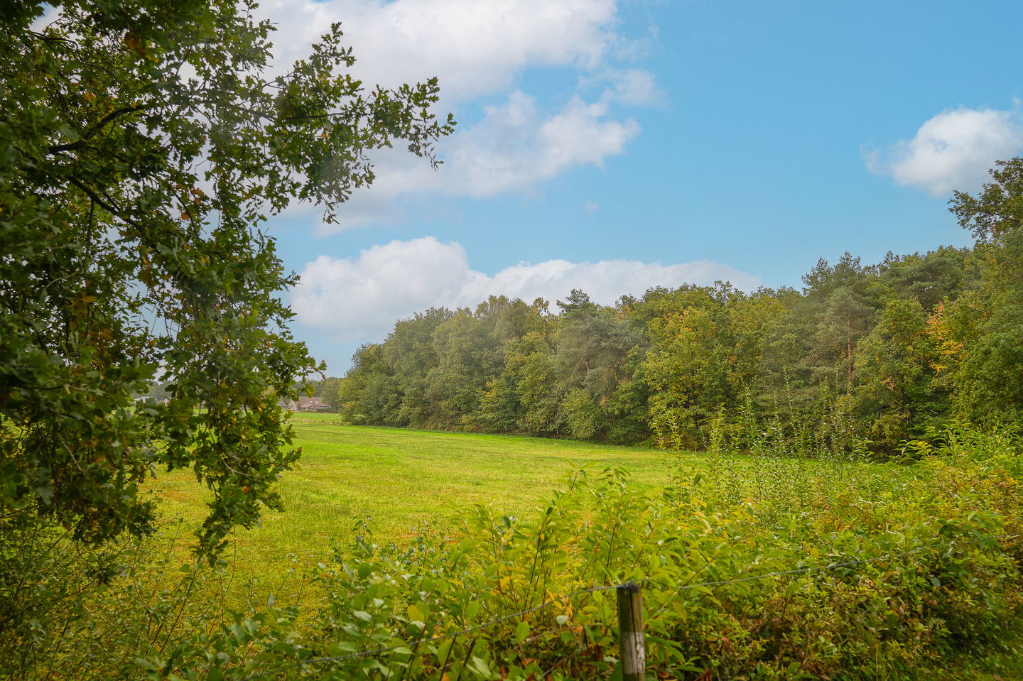 Photo 29 of Griftdijk 17