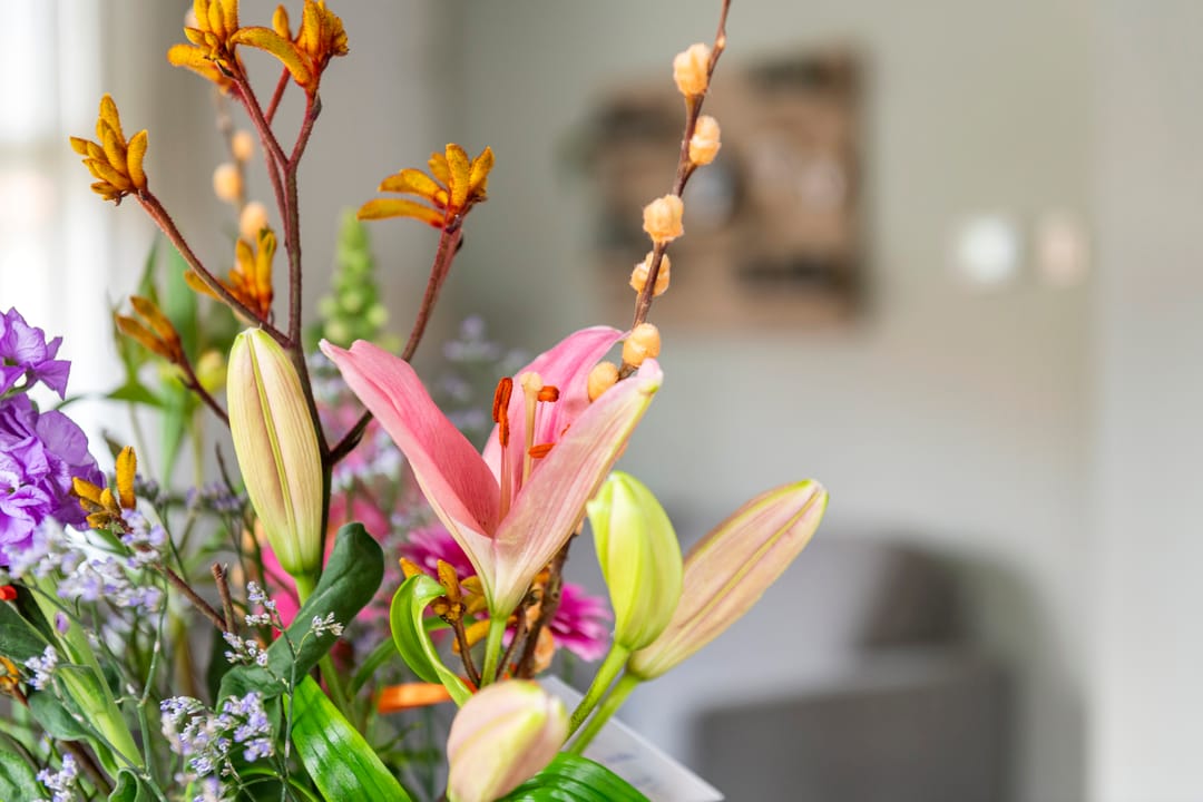 Foto 31 van Bernhardlaan 3