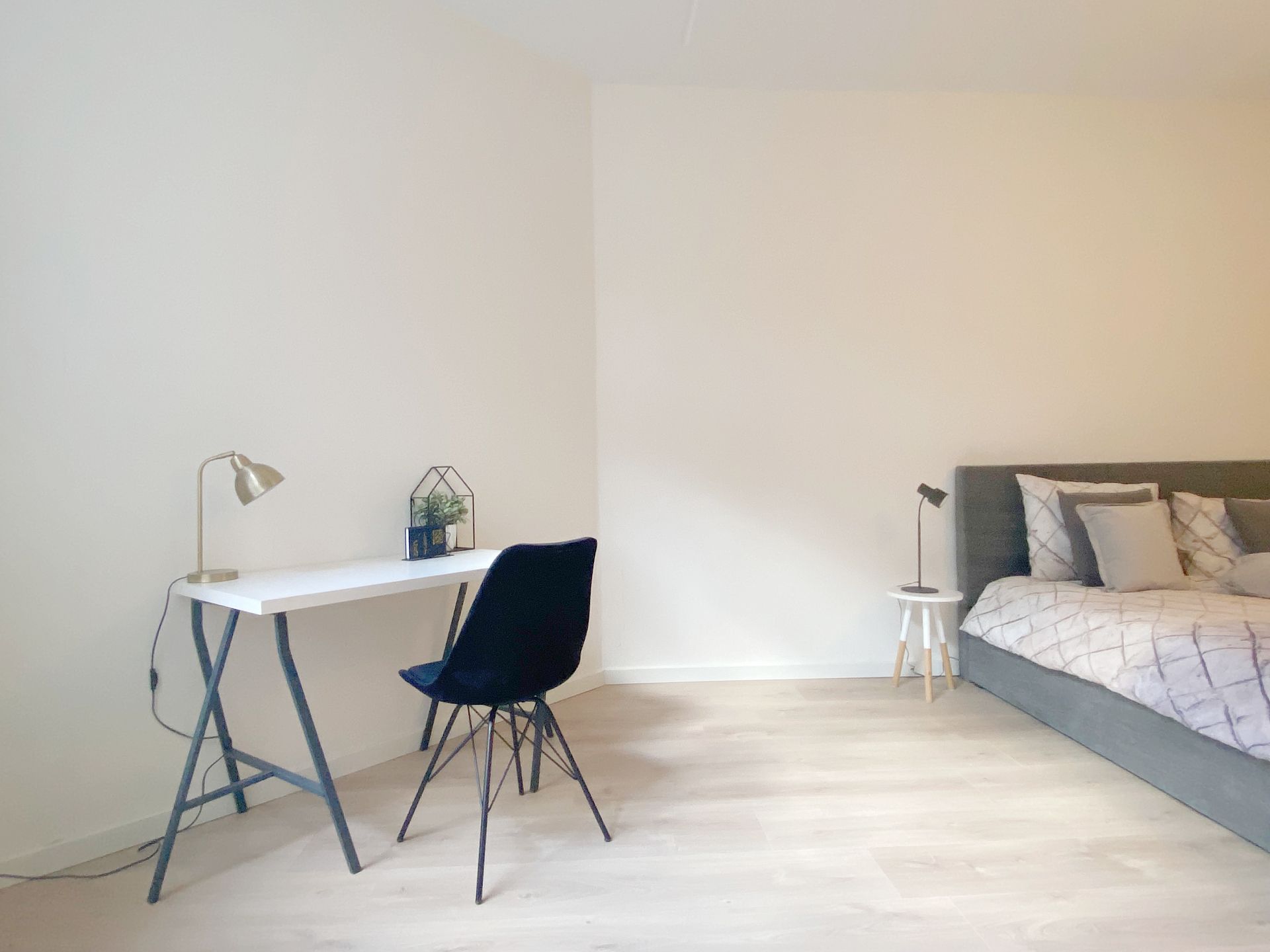 Photo 6 of Muzenplein 133