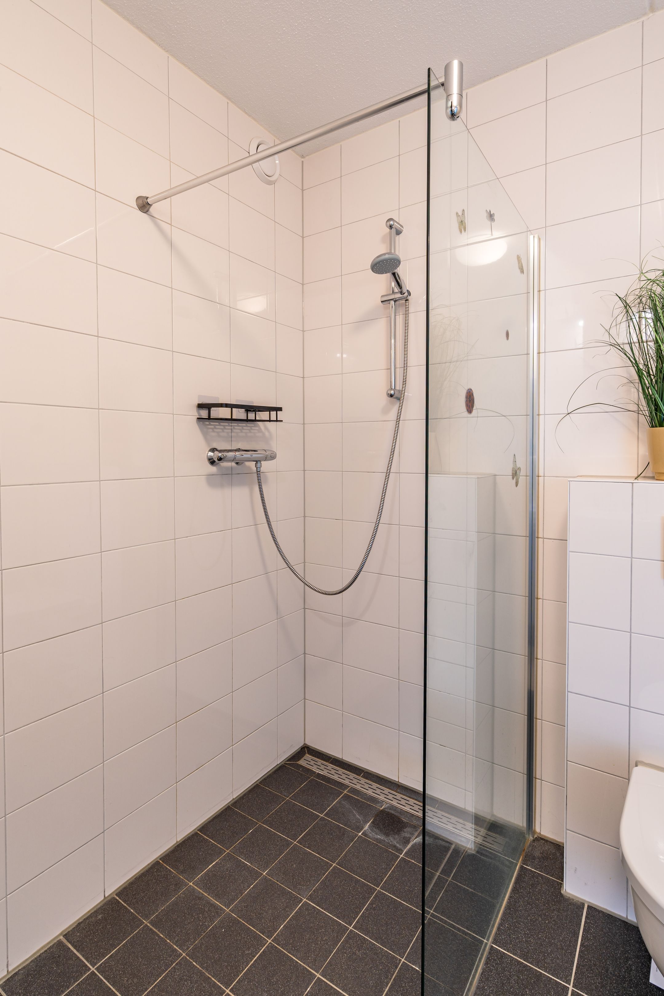 Foto 21 van Roefstraat 17