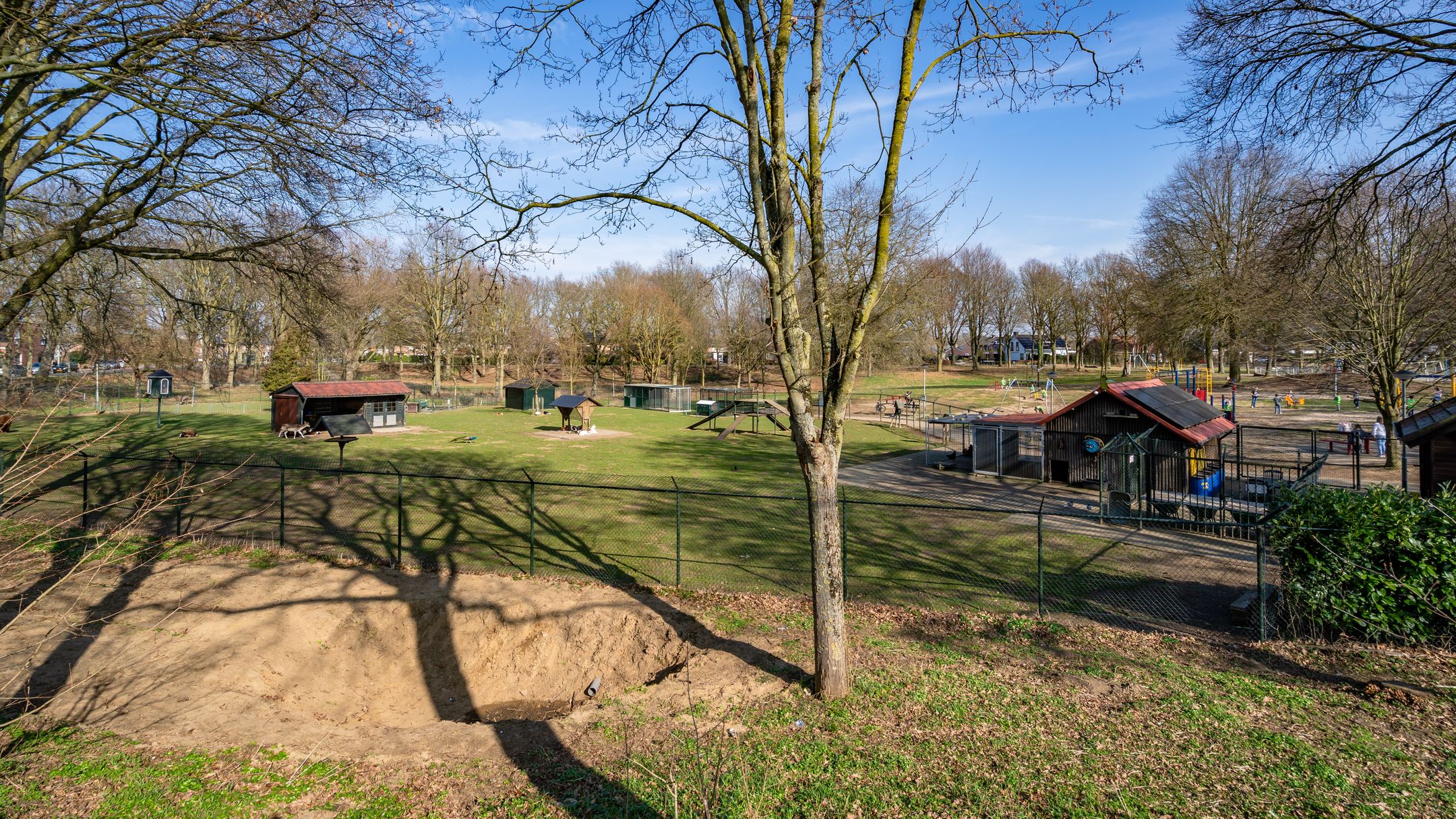 Foto 42 van Roefstraat 17