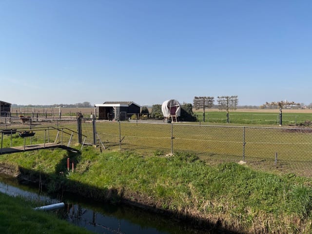 Foto 4 van Hoge Zeedijk 54