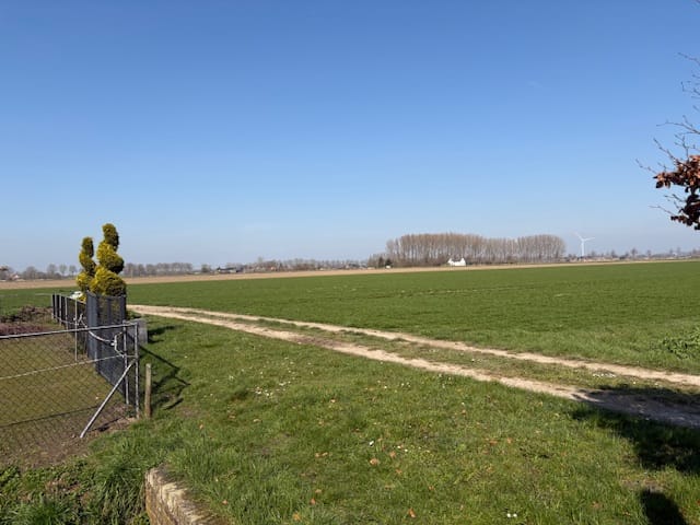 Foto 42 van Hoge Zeedijk 54