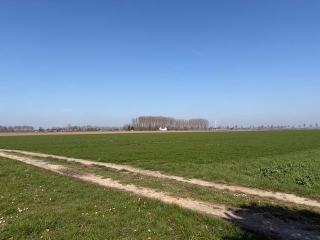 Foto 43 van Hoge Zeedijk 54