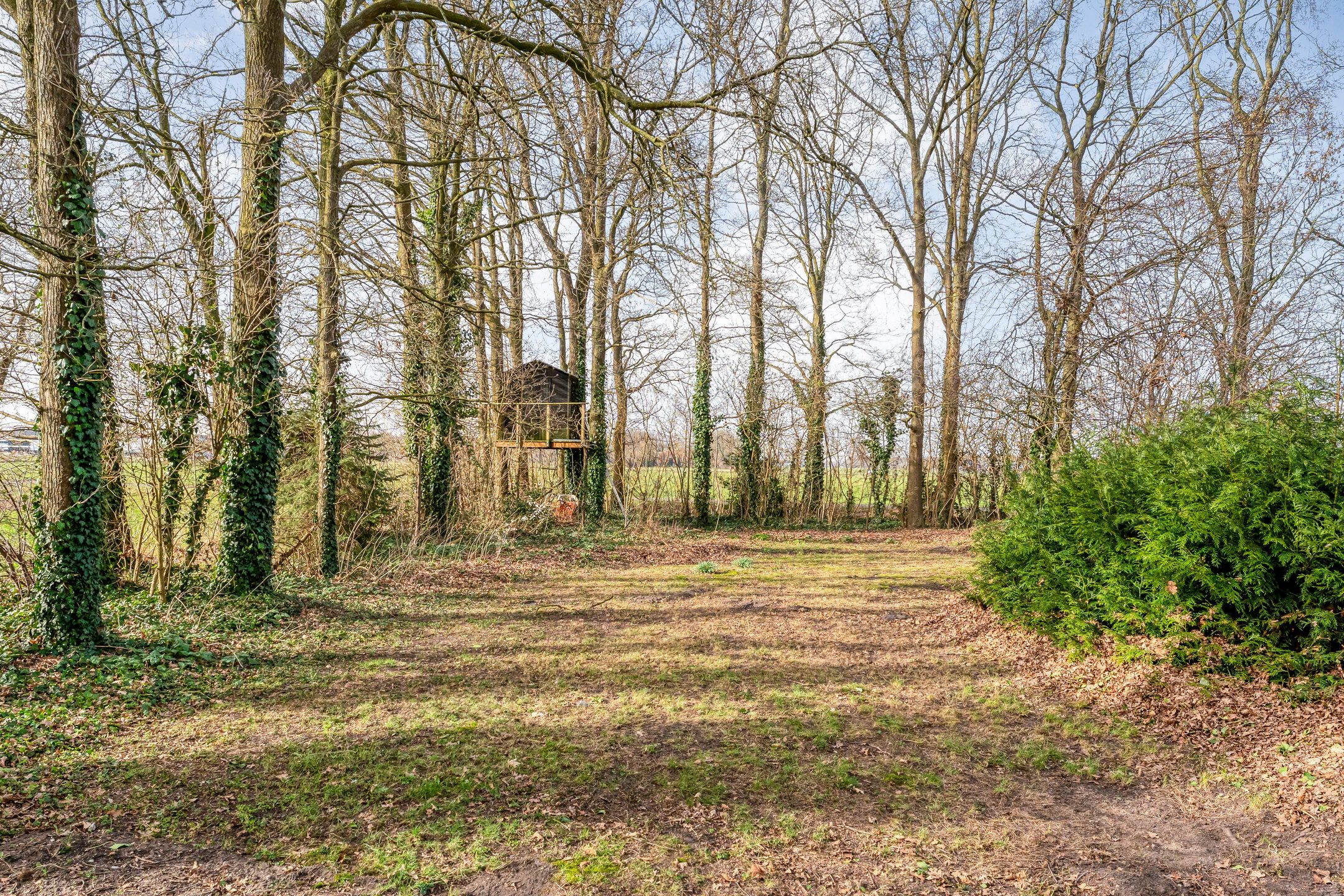 Photo 45 of Kattendijk 1