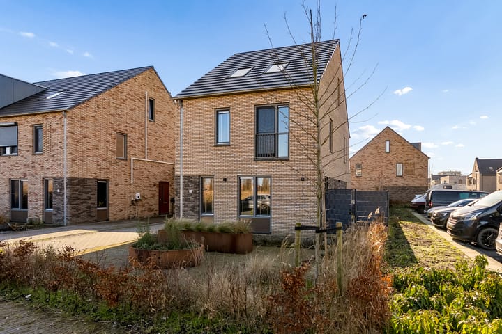 Foto 2 van Zwenkgras 2