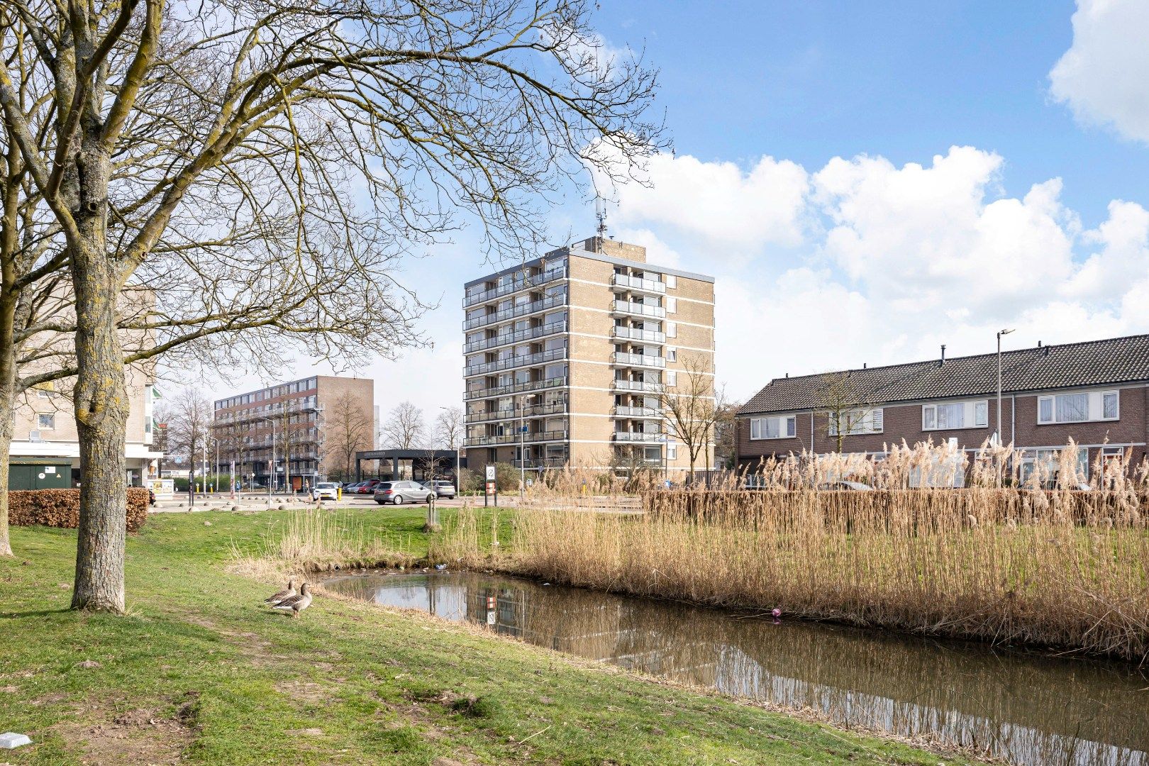 Foto 42 van Symfoniestraat 54