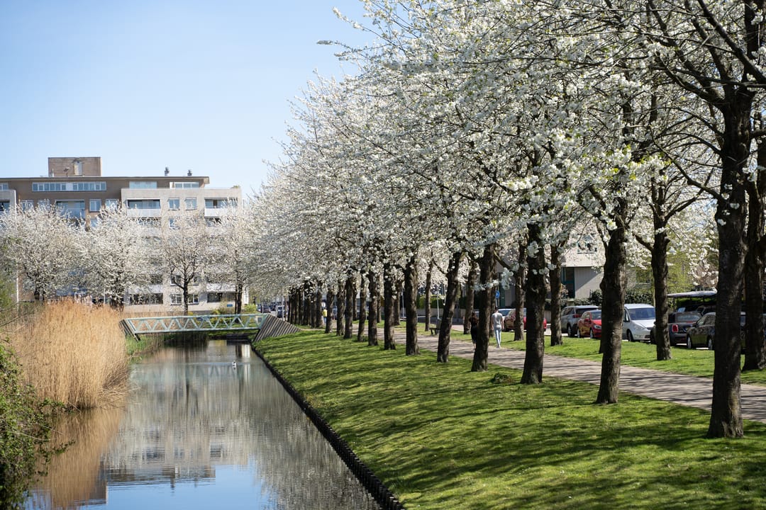 Foto 41 van Jinnahsingel 8