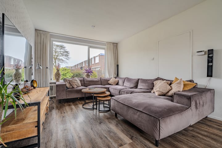 Foto 2 van Schorpioen 114