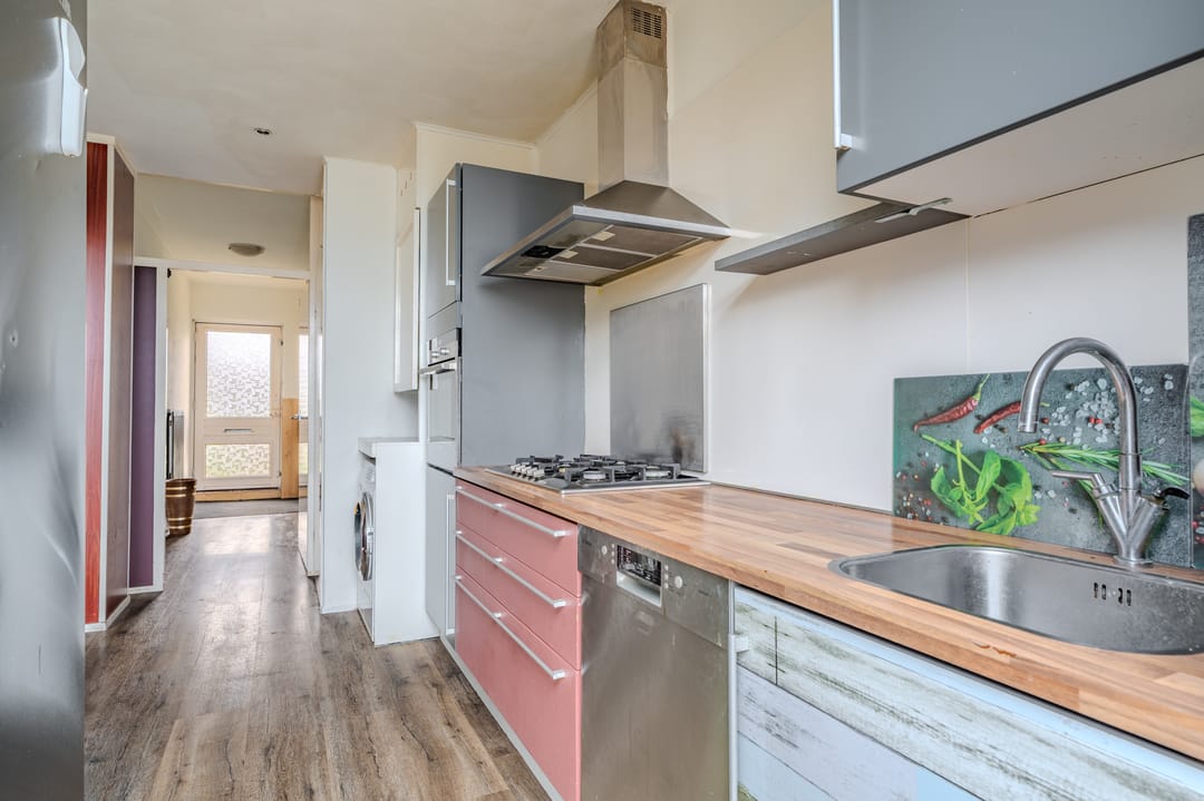 Photo 11 of Schorpioen 114