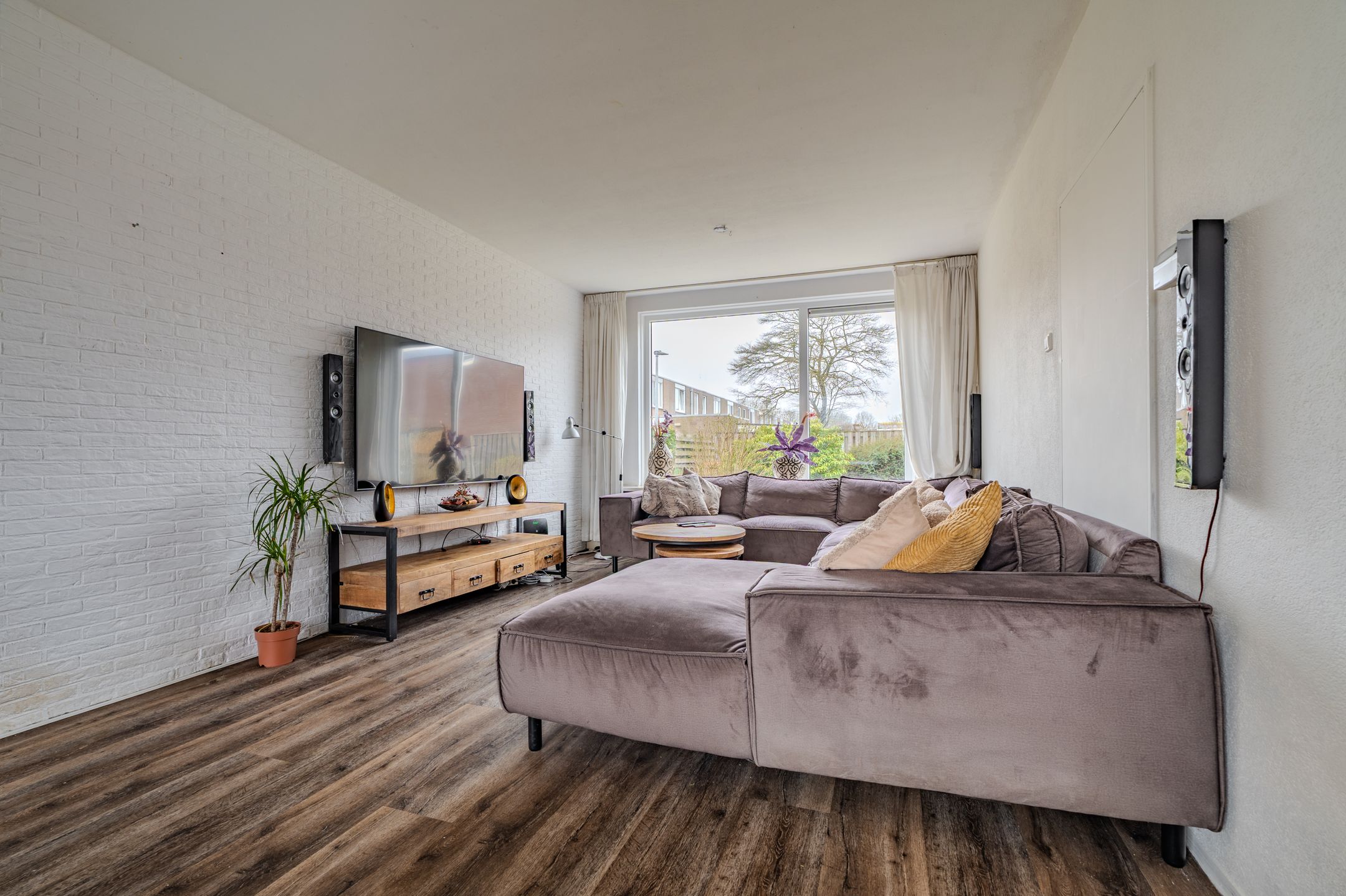 Photo 15 of Schorpioen 114