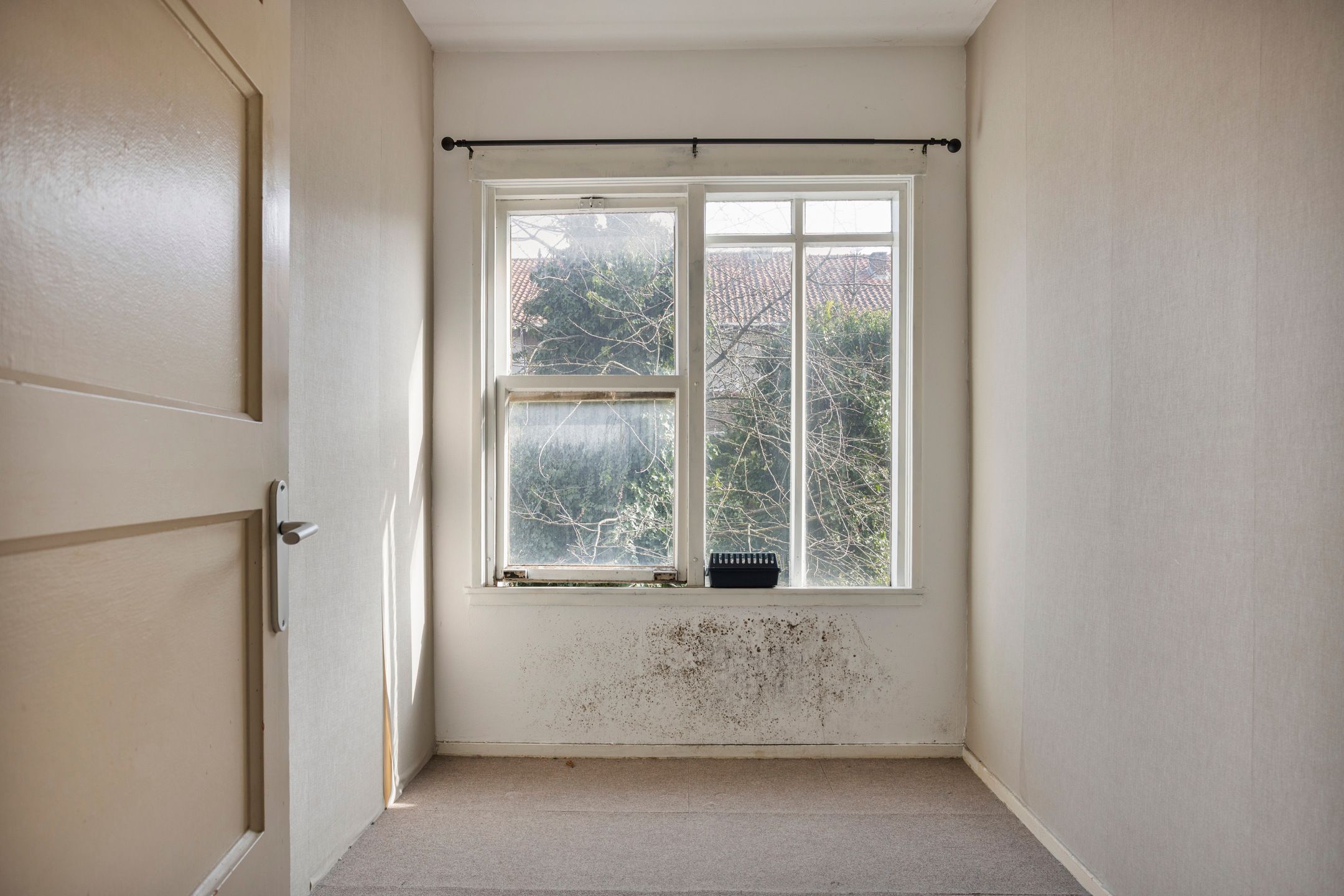 Renovation Project with Potential in Rotterdam South — 18