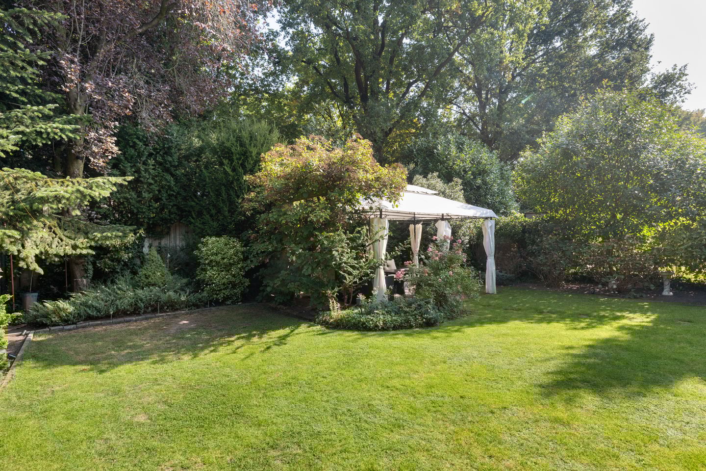 Foto 25 van Professor Oudstraat 2