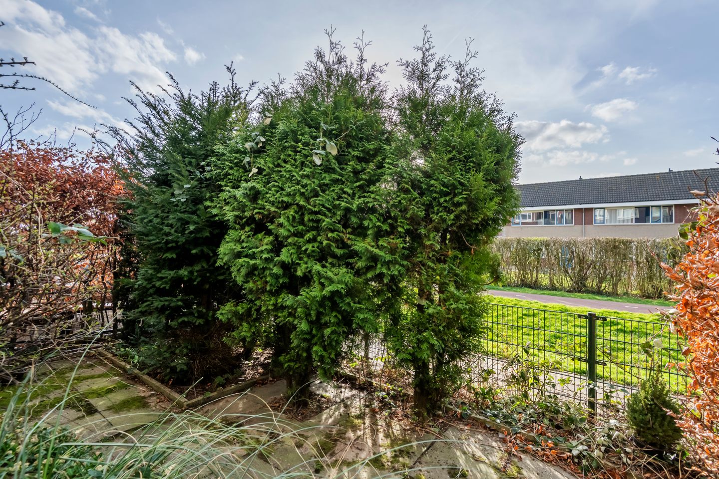 Foto 19 van Minervastraat 43