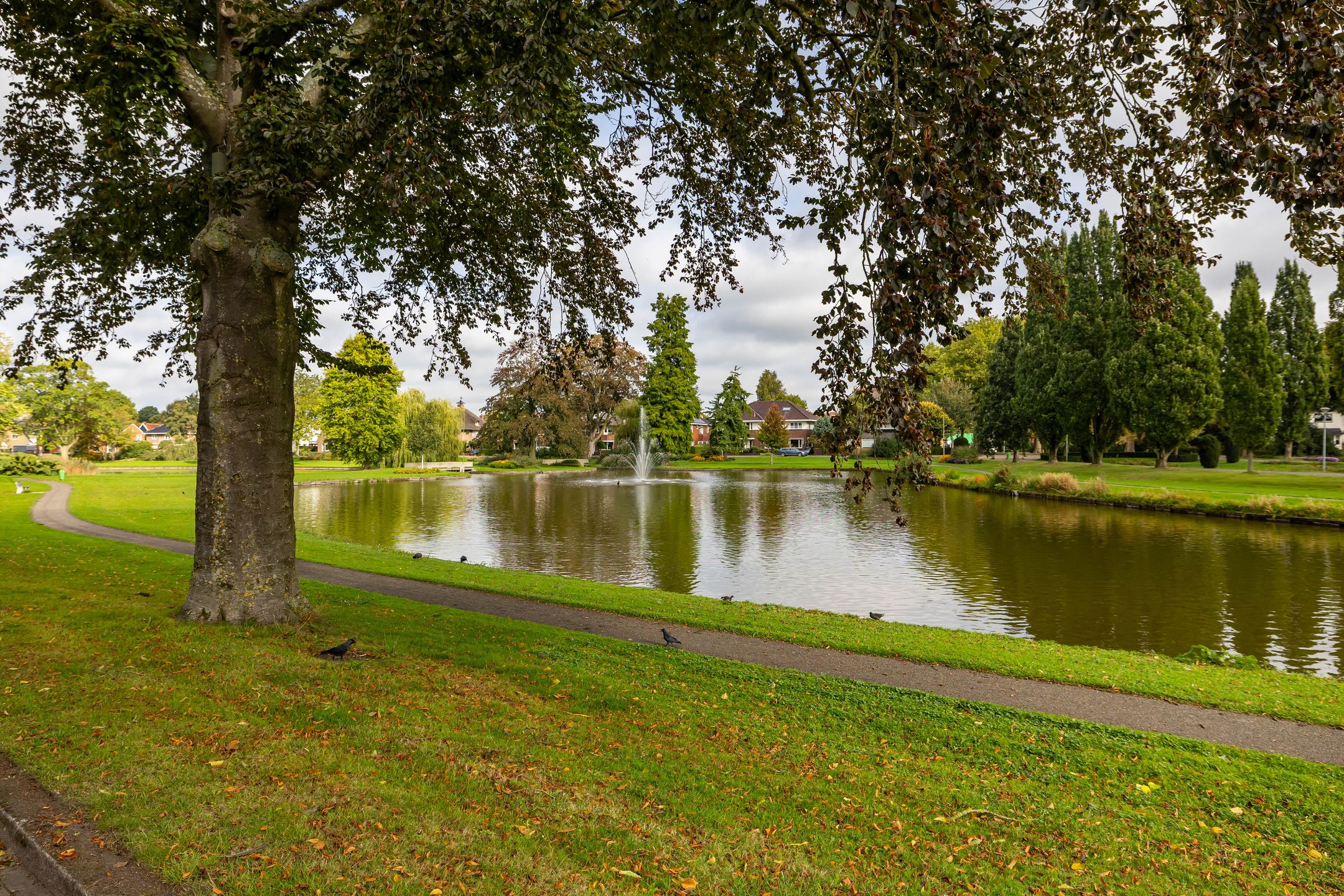 Foto 3 van Vijverstraat 10