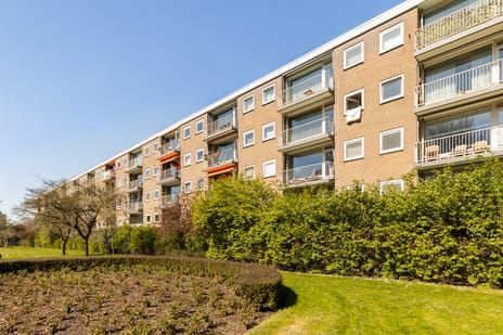 Bijdorp 21 secondary image