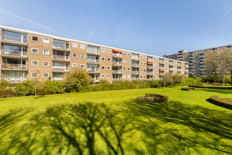 Bijdorp 21 tertiary image