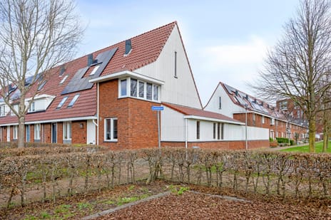 undefined main image