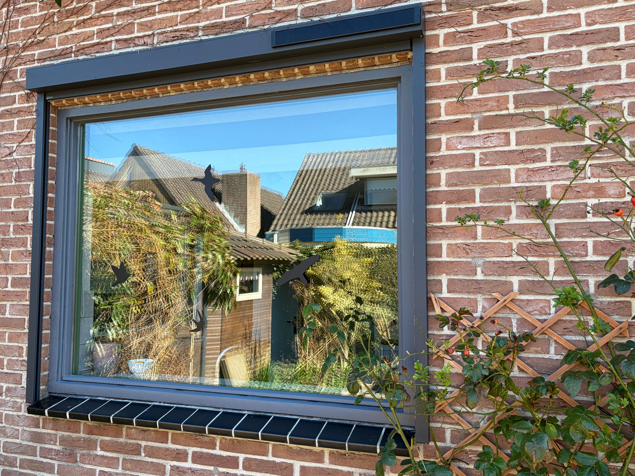 Foto 30 van Tripkouw 1