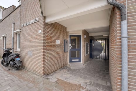 Oranjeboomstraat 13 secondary image