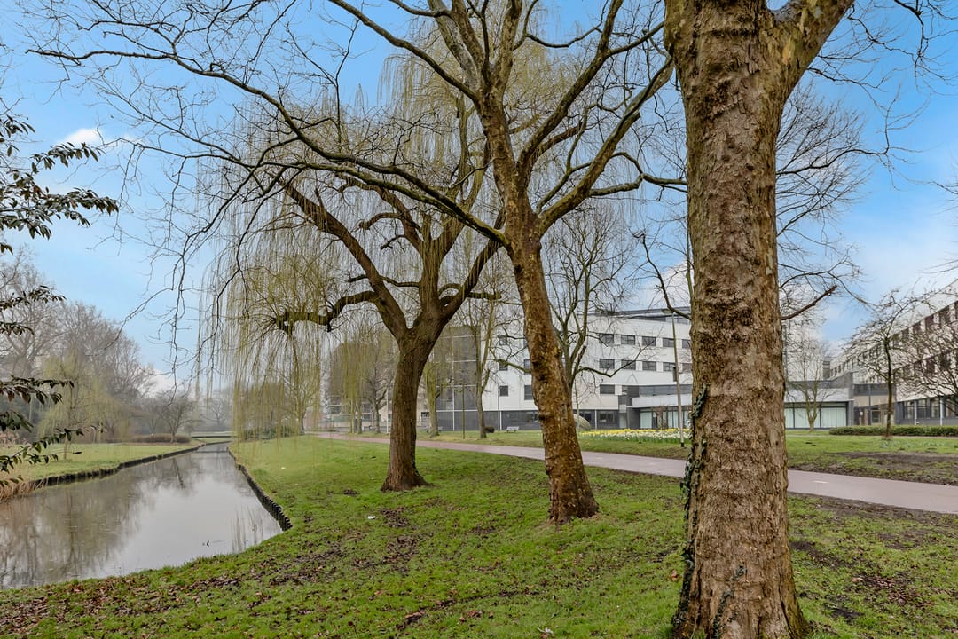 Photo 47 of De Burcht 44