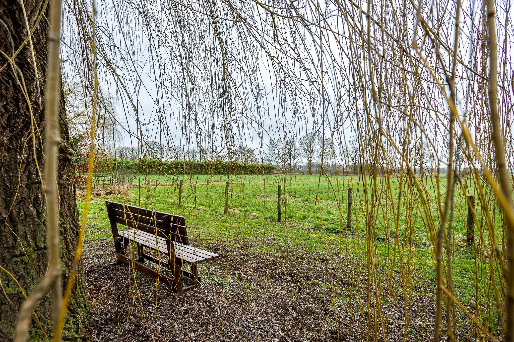 Foto 63 van Hoge Horst 47