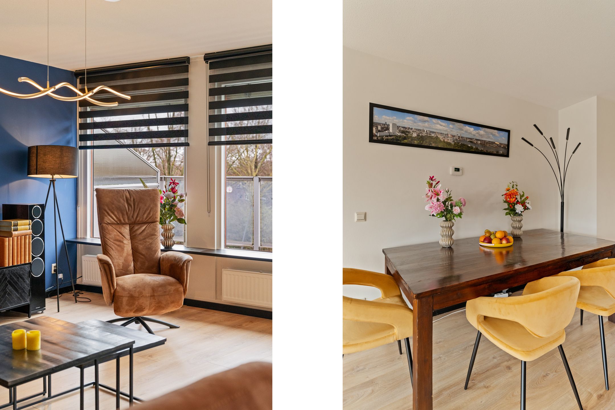 Photo 12 of Omnium 52