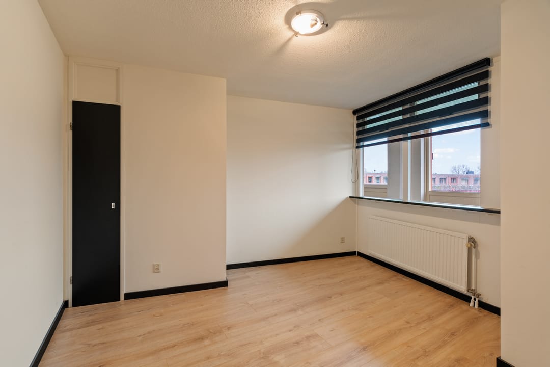 Photo 23 of Omnium 52