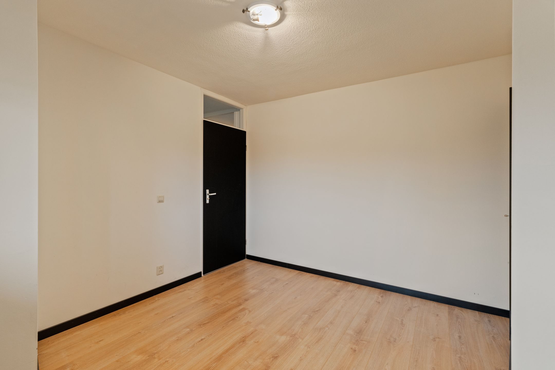 Photo 24 of Omnium 52